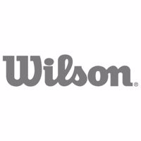 DI-Logo-Corporate-Wilson