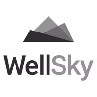 DI-Logo-Corporate-WellSky
