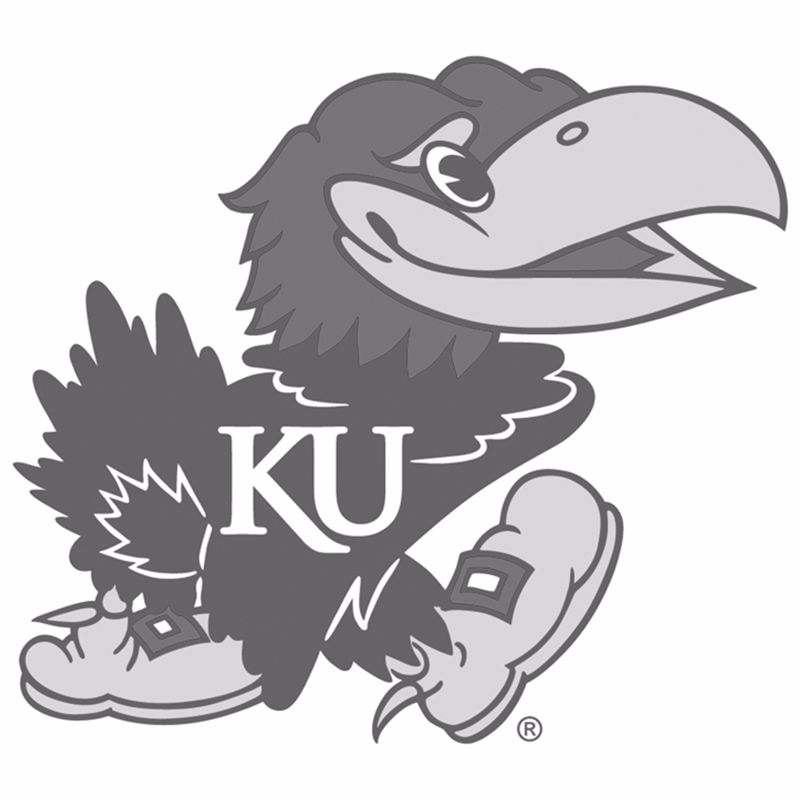 DI-Logo-HigherEducation-University-of-Kansas