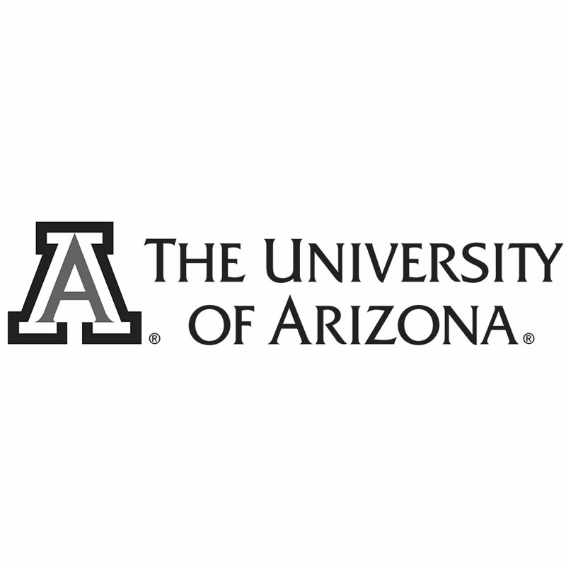 DI-Logo-CollegeSports-UniversityOfArizona