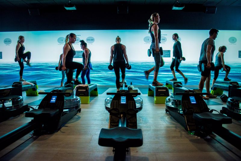 rowing machine scheels