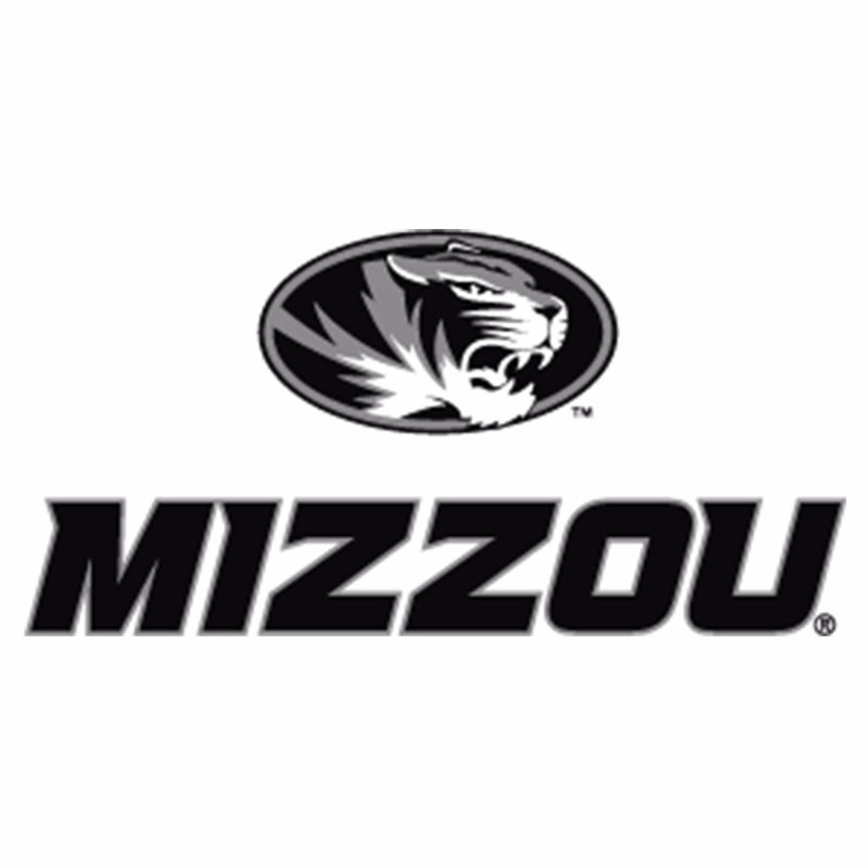 DI-Logo-HigherEducation-Mizzou