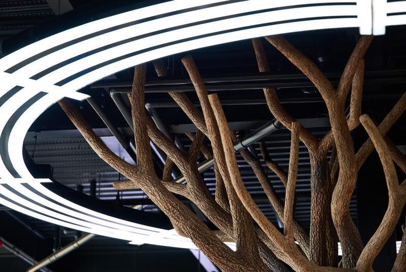 RD1 Spirits - tree close up
